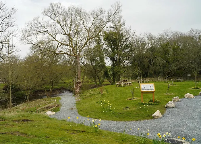 Nelson בית נופש